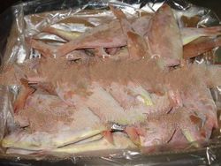 Japanies Threadfin Bream