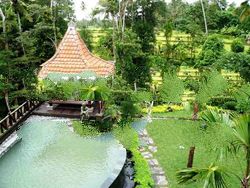 Ubud Villa