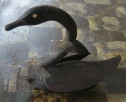 Duck Ebony