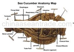 Company Brochure ( Page 9-9 )