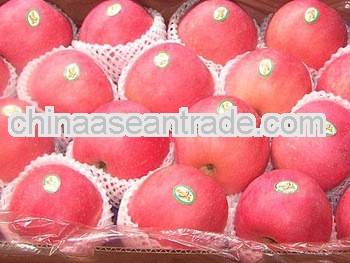 2011Fresh fruit apples distributor