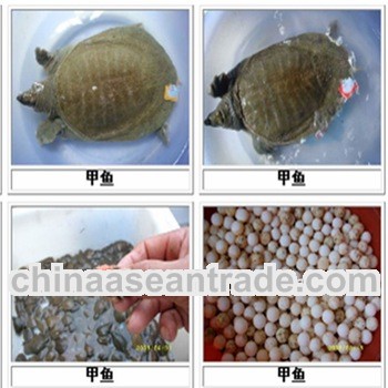 2011 best sale instrument for processing animals meal with high efficiency