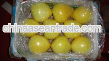 2012 Fresh Honey Pomelo For Sell Like Hot Cakes