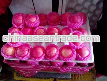 2012 Red full blush yantai fuji apple