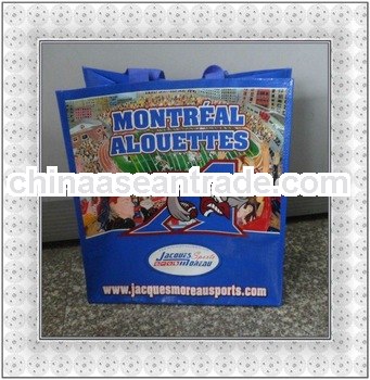 2012 beautiful pp woven shopping bag