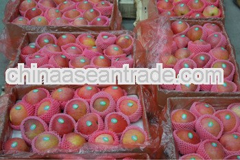 2012 china apple wholesale prices