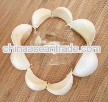 2012 fresh normal white garlic (HACCP)
