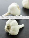 2012 fresh pure white garlic in various of size and packing with good price and payment