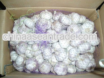 2012 fresh pure white garlic with 10kg carton