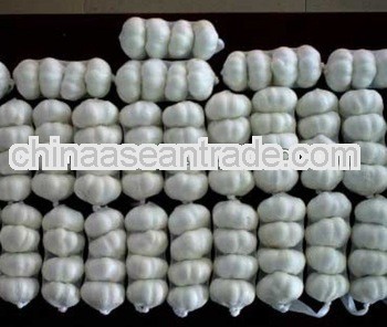 2012 garlic harvesting season sell garlic