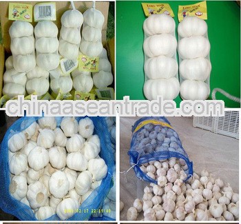 2012 garlic market price