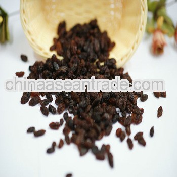 2012 new crop Raisin/Sultana factory hot sale