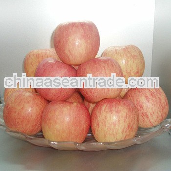 2012 new crop chinese fuji apple price