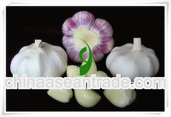 2012 price for dried garlic from