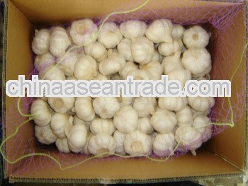 2012pure/normal whte garlic wholesaler