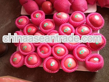 2013New season fresh apples Qixia city to export India/Middle East/Europe