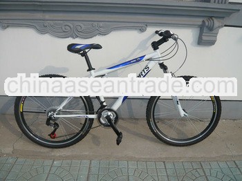 2013 18 speed mountain bike for export