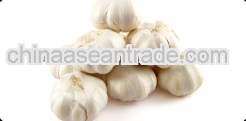 2013 Chinese Narual Fresh Garlic New Crop