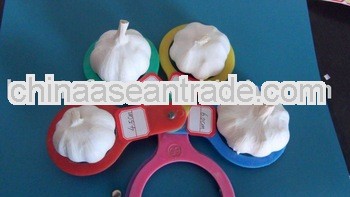 2013 Chinese Normal White Garlic Fresh 6.0cm