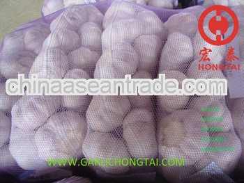 2013 Chinese Purple Garlic 6.0CM Price