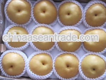 2013 Fresh Fengshui Pear and Fruit