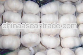 2013 Fresh Shandong Garlic