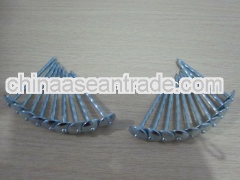 2013 Hot Sale, Umbrella Head Roofing Nails