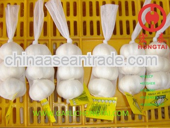 2013 Jining Pure White Garlic Price