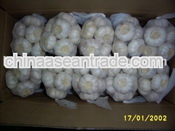 2013 NEW CROP FRESH WHITE GARLIC 250g,500g,1kg net bag