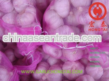 2013 Natural Garlic 5.5CM Price
