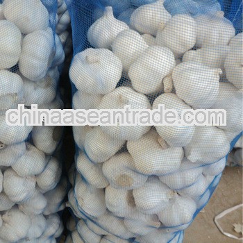 2013 New Corp Grade A china fresh pure white garlic