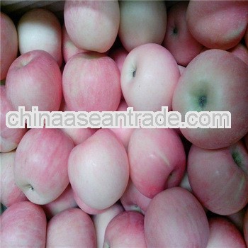 2013 New Crop Blush Red Fuji Apple