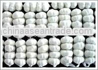 2013 Raw garlic bulk bag packing big size