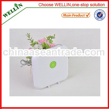 2013 Square Shape Cheapest Portable Mini Speaker With FM Radio ZR247