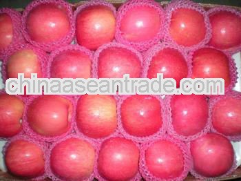 2013 Supply good price fuji apple in