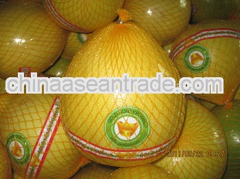 2013 Sweet Honey Pomelo