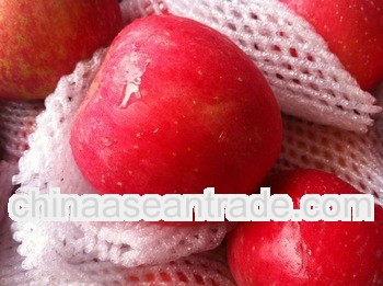 2013 Yantai Full red fresh fuji apple to all over the world