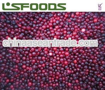 2013 chinese new crop frozen IQF lingonberry