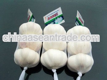 2013 crop pure whie garlic 6.0cm