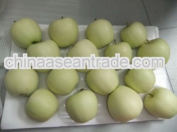 2013 delicious golden apple