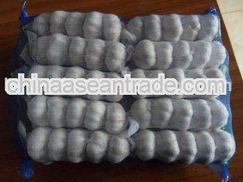 2013 fresh garlic/2012 frozen garlic