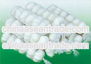 2013 fresh garlic normal white