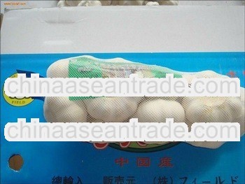 2013 fresh garlic supplier