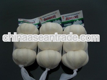 2013 fresh super white garlic