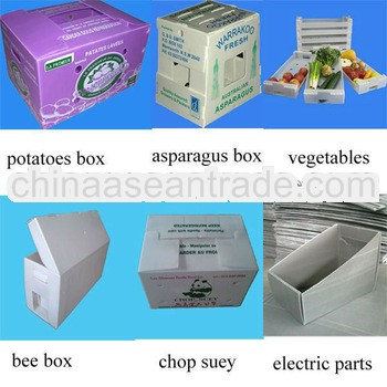 2013 hot sale food grade PP plastic containers made of pp corrugated sheet