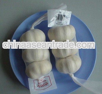 2013 laiwu fresh garlic shandong garlic