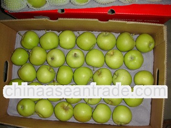 2013 new crop China fresh green apple fruit export