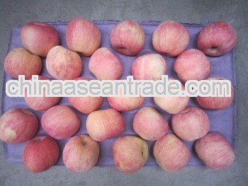 2013 new crop Fuji red apple yantai fuji apple