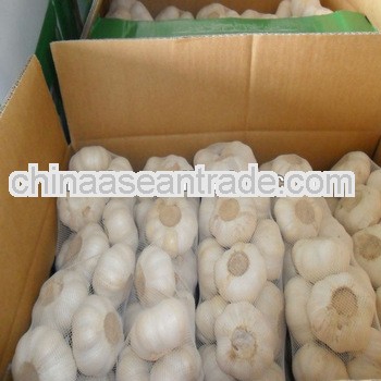 2013 new crop fresh pure garlic