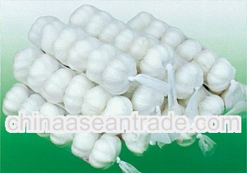 2013 new crop garlic, 5cm garlic